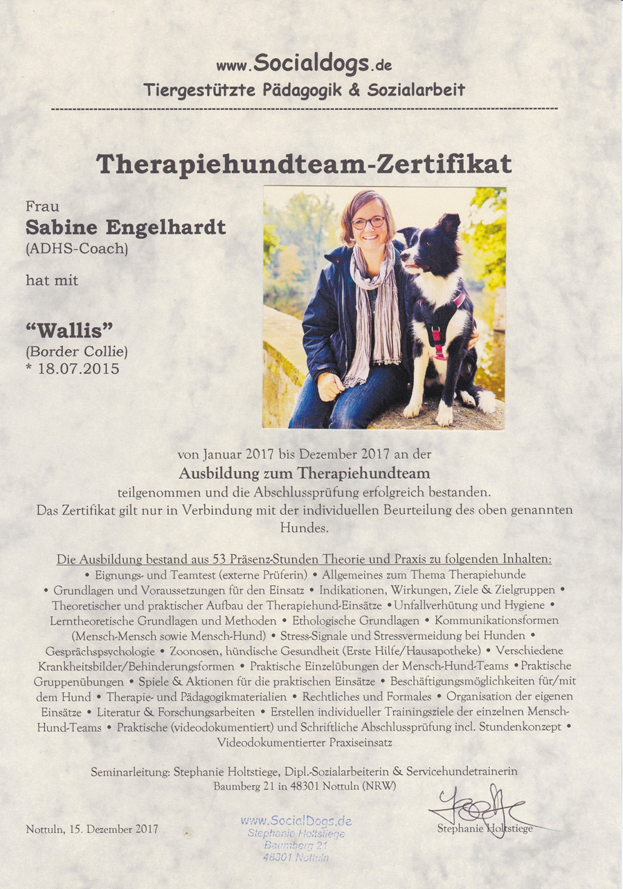 Therapiehundteam- Zertifikat Coaching mit Hund Wallis